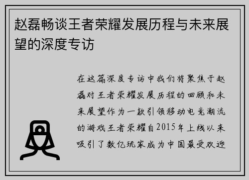 赵磊畅谈王者荣耀发展历程与未来展望的深度专访