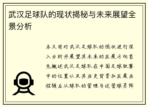 武汉足球队的现状揭秘与未来展望全景分析